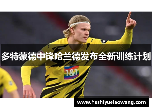 多特蒙德中锋哈兰德发布全新训练计划