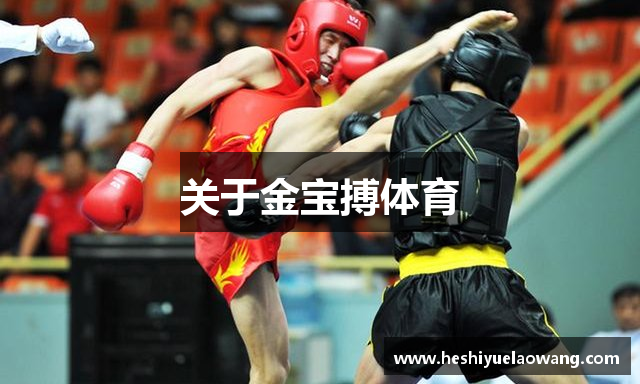 关于金宝搏体育
